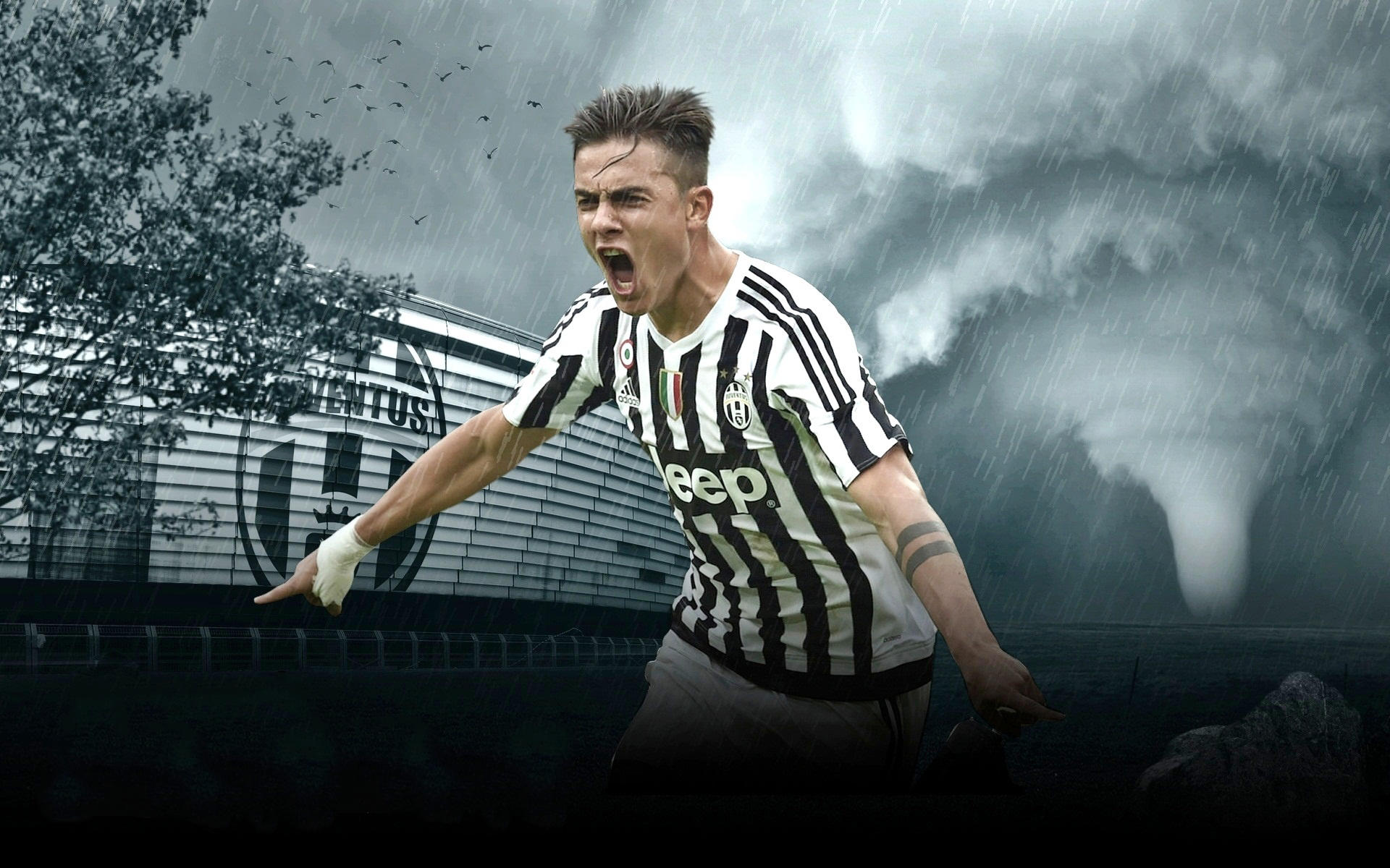 前锋远射破门，球迷现场尖叫